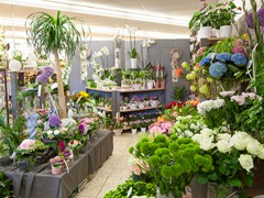 Solefleur - Eröffnung in Bad Liebenstein - EDEKA neukauf Maik Blaufuß