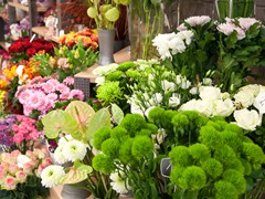 Solefleur - Eröffnung in Bad Liebenstein - EDEKA neukauf Maik Blaufuß