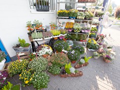 Solefleur - Eröffnung in Bad Liebenstein - EDEKA neukauf Maik Blaufuß