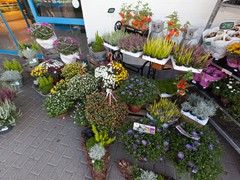 Solefleur - Eröffnung in Bad Liebenstein - EDEKA neukauf Maik Blaufuß