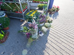 Solefleur - Eröffnung in Bad Liebenstein - EDEKA neukauf Maik Blaufuß