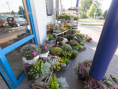 Solefleur - Eröffnung in Bad Liebenstein - EDEKA neukauf Maik Blaufuß