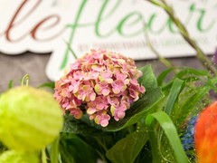 Solefleur - Eröffnung in Bad Liebenstein - EDEKA neukauf Maik Blaufuß