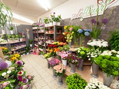 Solefleur - Eröffnung in Bad Liebenstein - EDEKA neukauf Maik Blaufuß