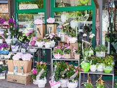 Solefleur-Laden-05-2015-30