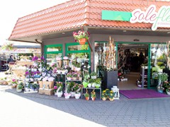 Solefleur-Laden-05-2015-31