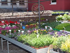 Solefleur-Laden-05-2015-54