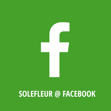 Facebookseite Solefleur